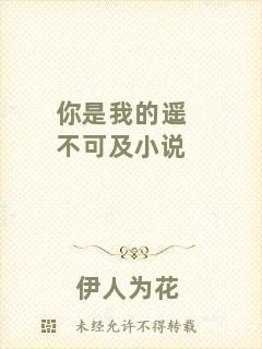 你是我的遙不可及小說(shuō)