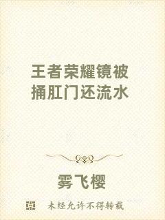 王者榮耀鏡被捅肛門(mén)還流水