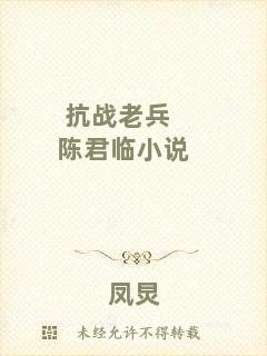 抗戰(zhàn)老兵陳君臨小說(shuō)