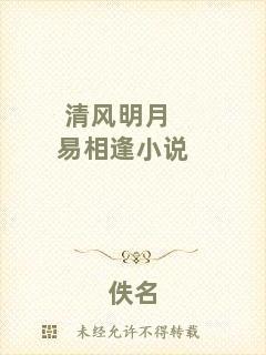 清風(fēng)明月易相逢小說(shuō)